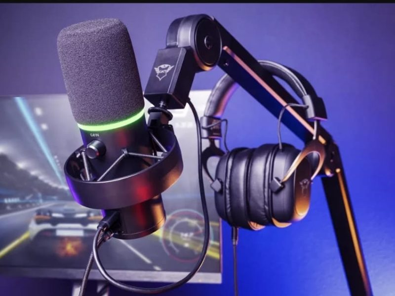 MICRO PROFESSIONNEL AVEC BRAS GXT 255+ ONYX